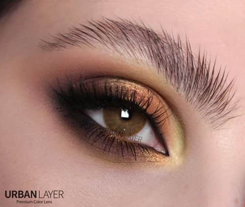 זוג עדשות צבע Maldives Brown