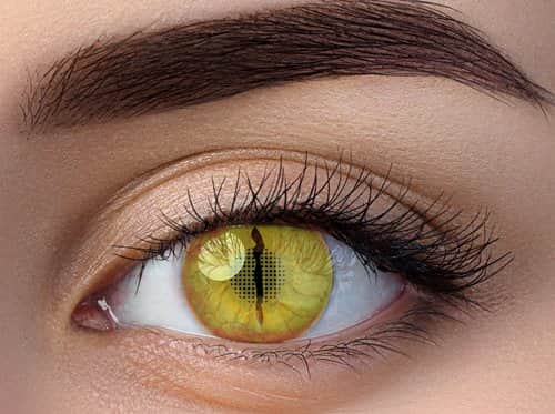 זוג עדשות צבע דגם לטאה צהובה MY43