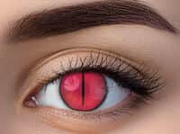 זוג עדשות צבע נמר אדום F539-4