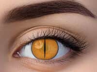 זוג עדשות צבע נמר כתום F539-3