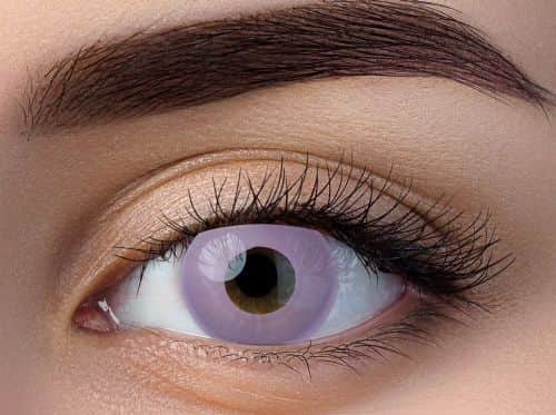 זוג עדשות צבע סגול אטום ccl 07