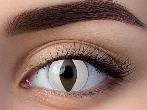 זוג עדשות צבע נחש לבן ccl 25