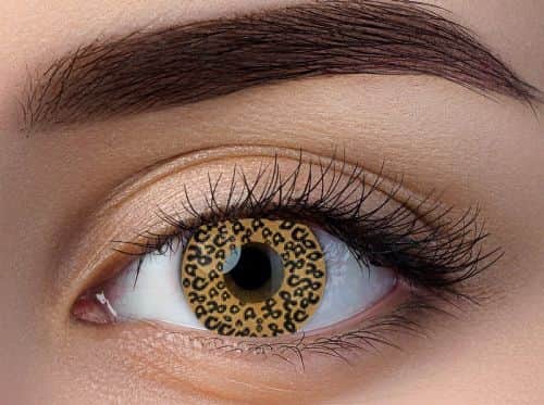 זוג עדשות צבע מנומר ry 111