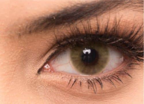 זוג עדשות צבע Amber