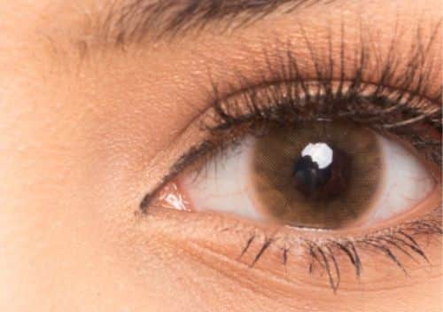 זוג עדשות צבע Avela