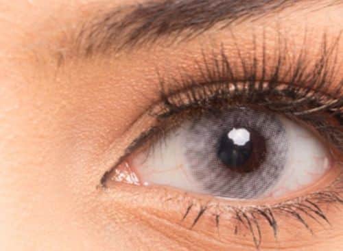 זוג עדשות צבע Icy Gray