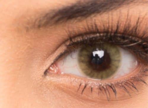 זוג עדשות צבע Mel