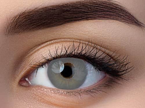 זוג עדשות צבע אפור אטום