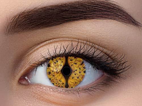 זוג עדשות צבע דגם דרקון